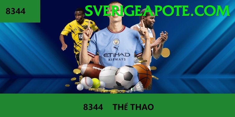 Cá Cược Thể Thao - Trải nghiệm tuyệt vời